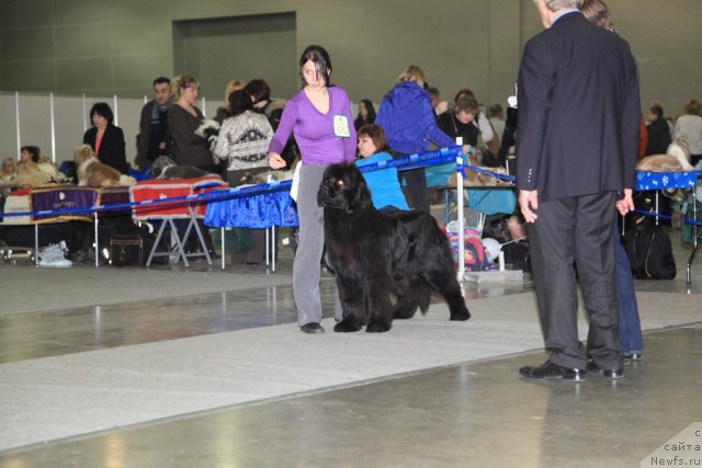 Фотография № 90442