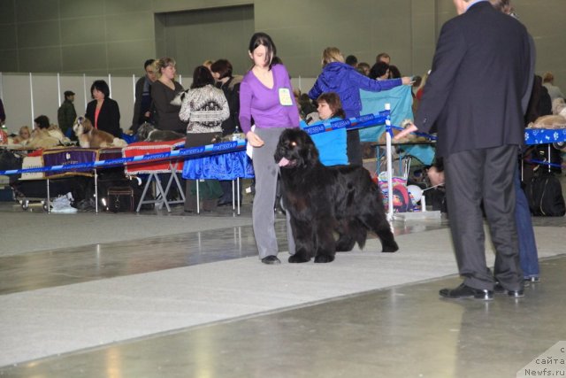 Фотография № 90443