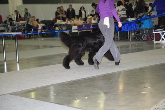 Фотография № 90444