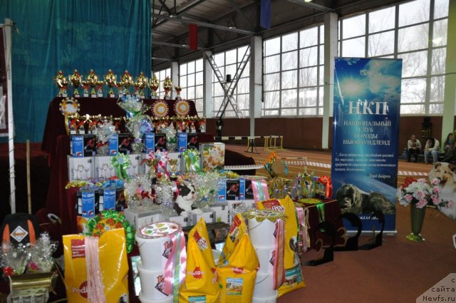 Фотография № 90500