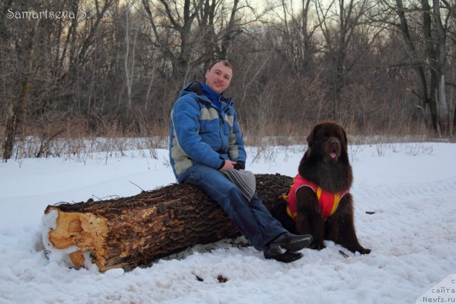 Фотография № 90505