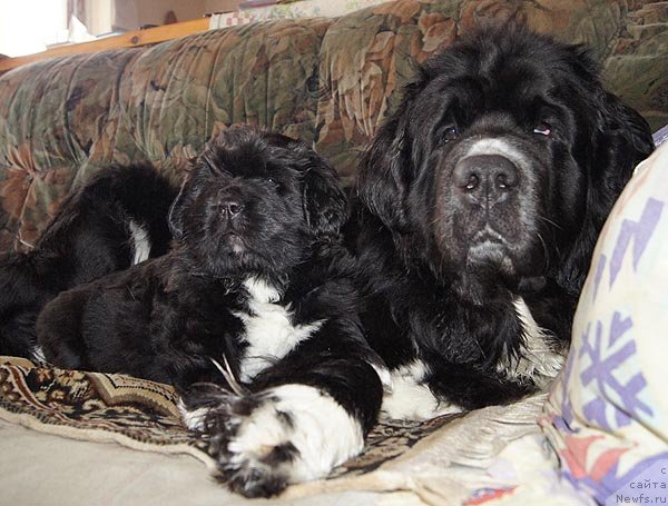 Фотография № 90512