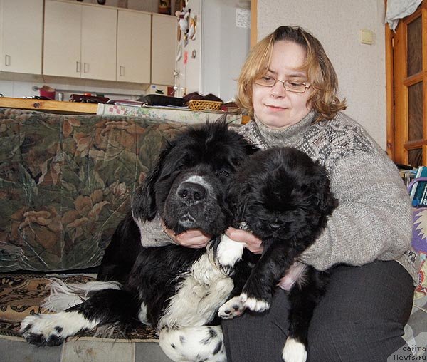 Фотография № 90541