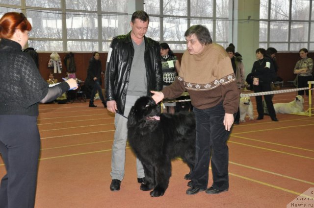 Фотография № 90557