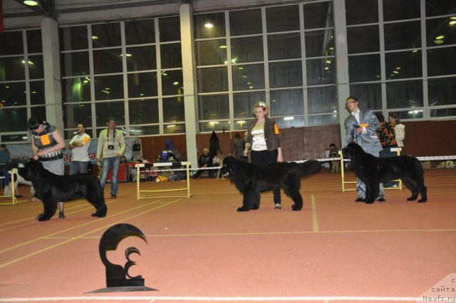 Фотография № 90580