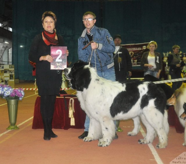 Фотография № 90593