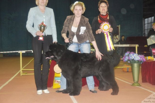 Фотография № 90594