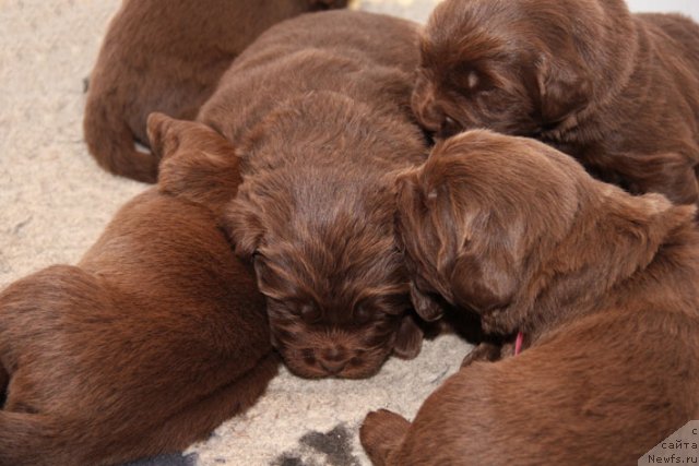 Фотография № 90639