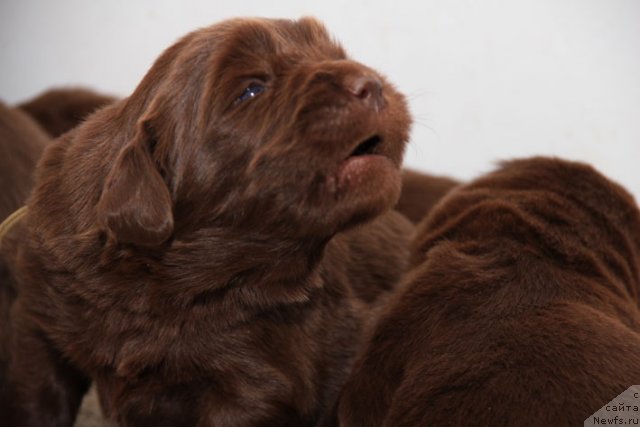 Фотография № 90714