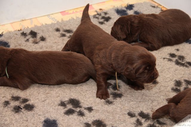 Фотография № 90715