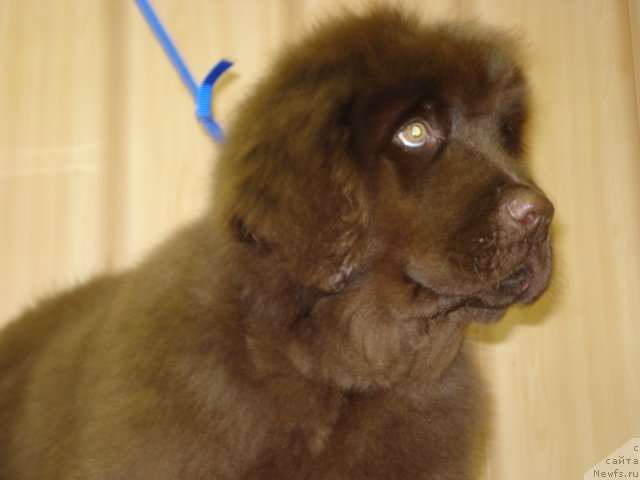 Фото: Ангел Души моей из Аркаима