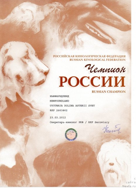 Фото: ньюфаундленд Uyutnaya Dolina Asterii Svet (Уютная Долина Астерии Свет)