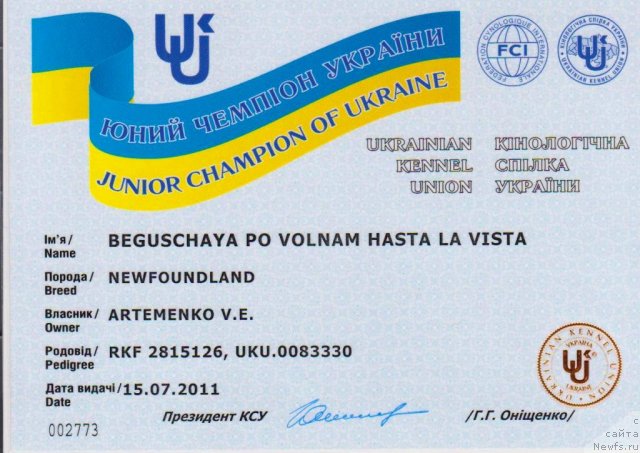 Фото: ньюфаундленд Beguschaya po Volnam Hasta la Vista (Бегущая по Волнам Хаста ла Виста)