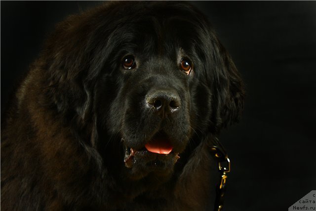 Фото: Кисюн