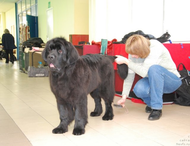 Фотография № 90852