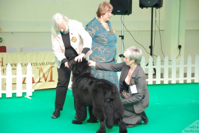 Фотография № 90853