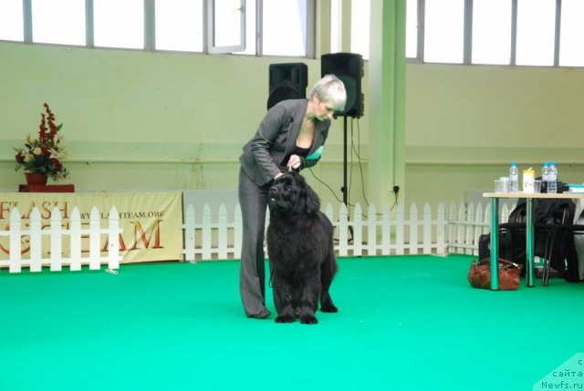 Фотография № 90855