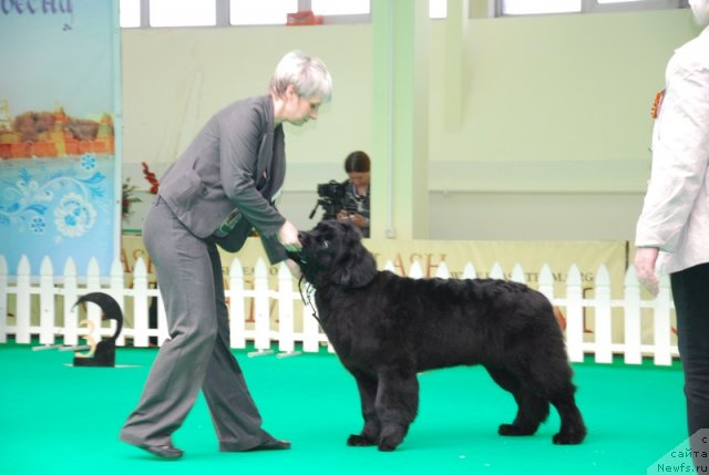 Фотография № 90856