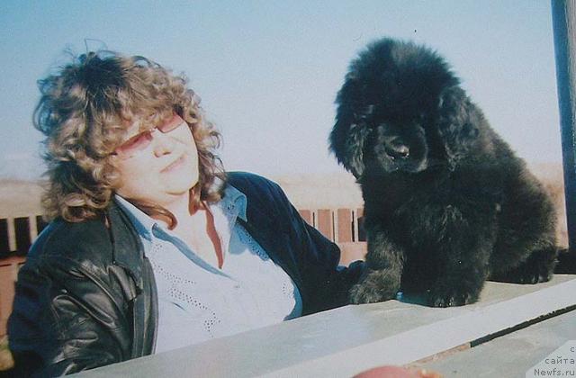 Фото: Irina Panyushkina (Ирина Панюшкина), ньюфаундленд Severtan Rojdennaya Legendoy (Севертан Рожденная Легендой)