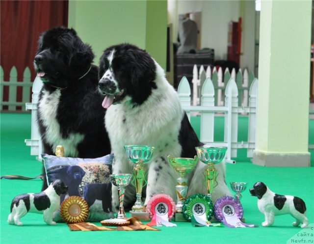 Фотография № 90905