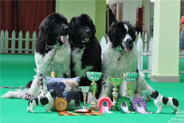 Фотография № 90906