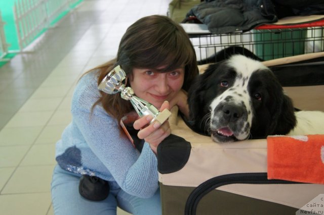 Фотография № 90930