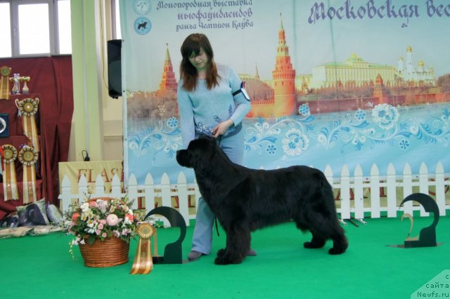 Фотография № 90932