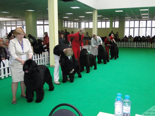 Фотография № 90942