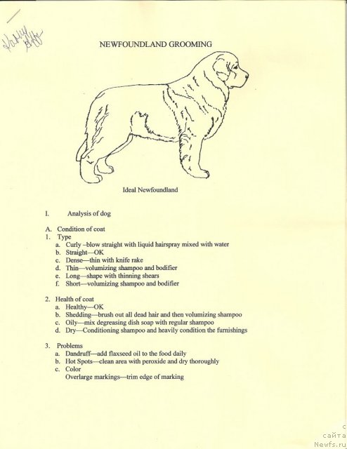 Фотография № 90944