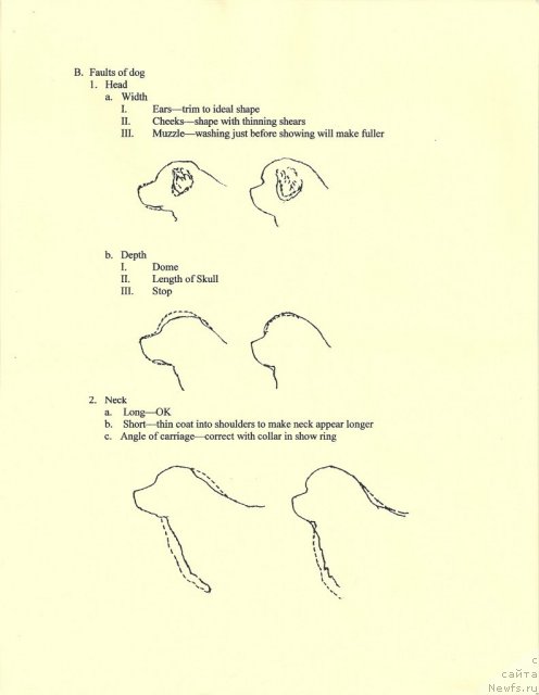 Фотография № 90945