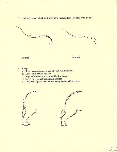 Фотография № 90946