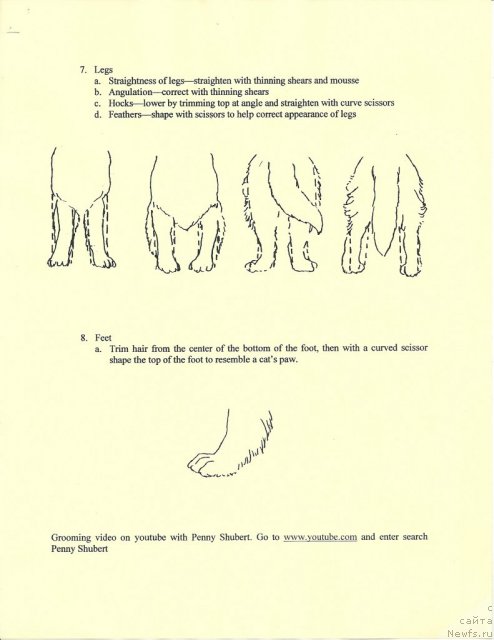 Фотография № 90948