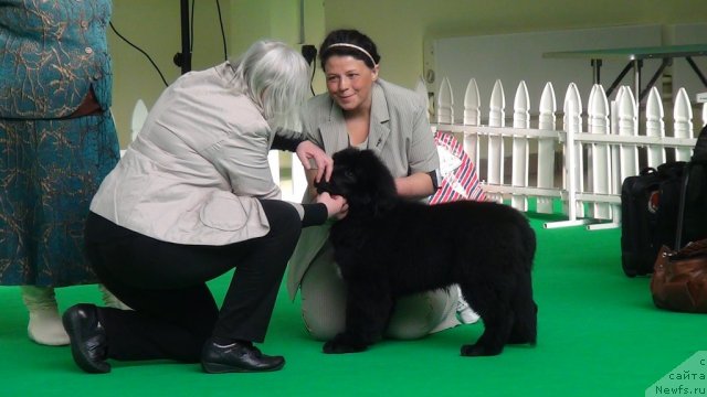 Фотография № 90953