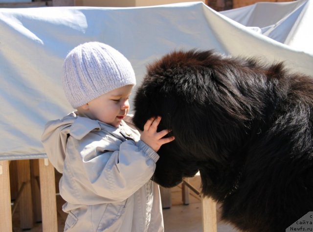 Фотография № 90955