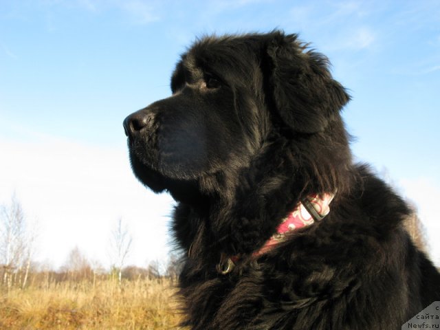 Фото: YAna Savchenko (Яна Савченко)