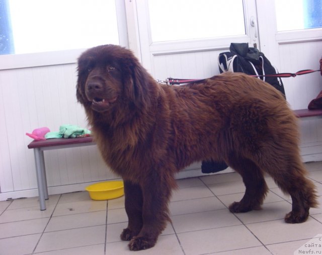 Фотография № 91044