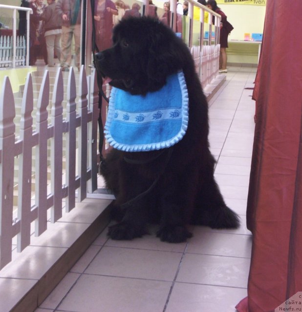 Фотография № 91045