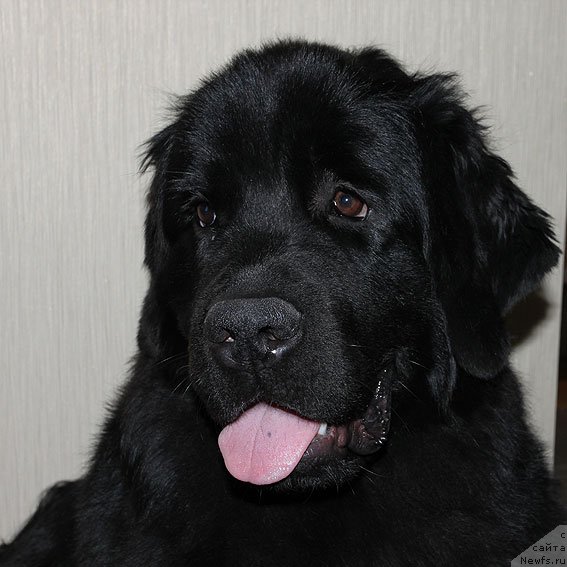 Фотография № 91080