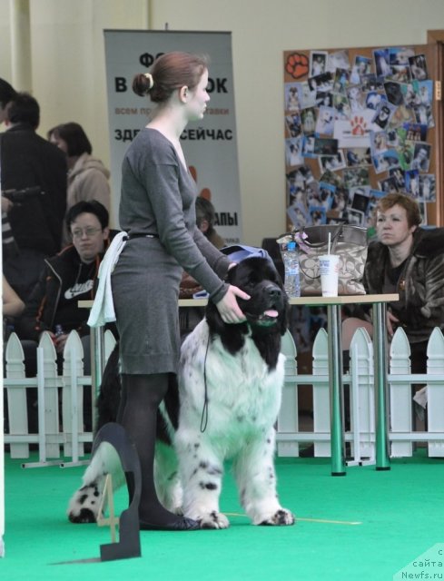 Фотография № 91084