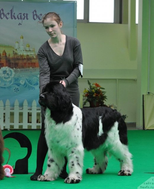 Фотография № 91085