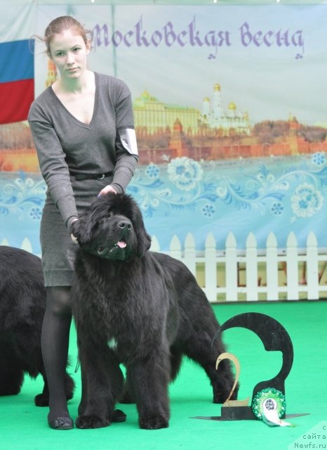 Фотография № 91092