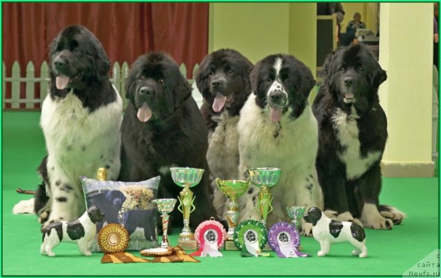 Фотография № 91097