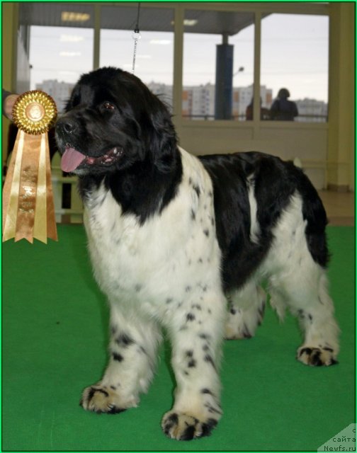 Фотография № 91098