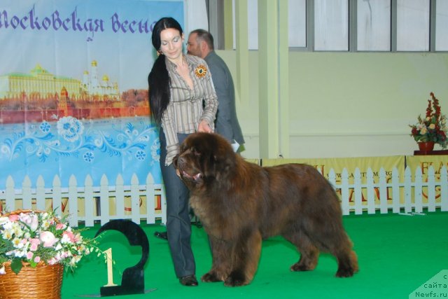 Фотография № 91133