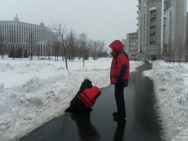 Фотография № 91137