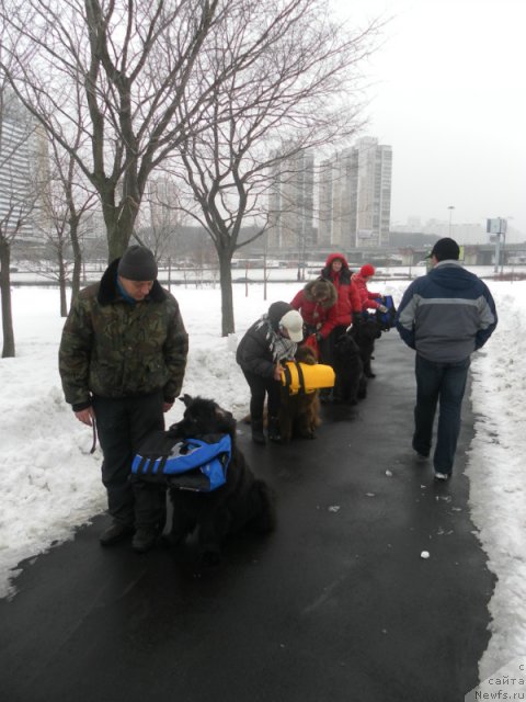 Фотография № 91138