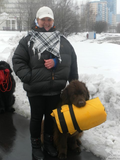 Фотография № 91139