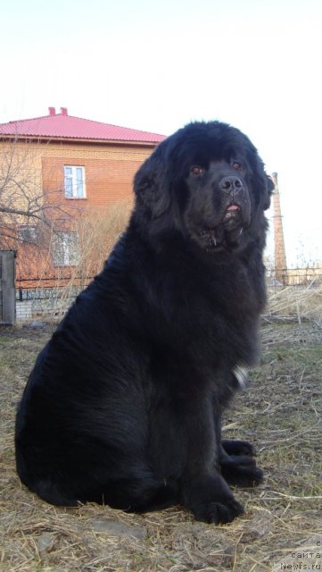 Фотография № 91144