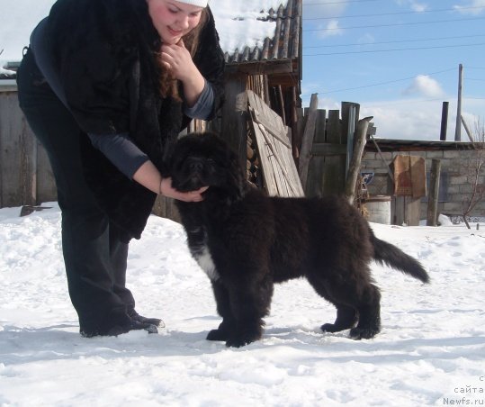 Фотография № 91153