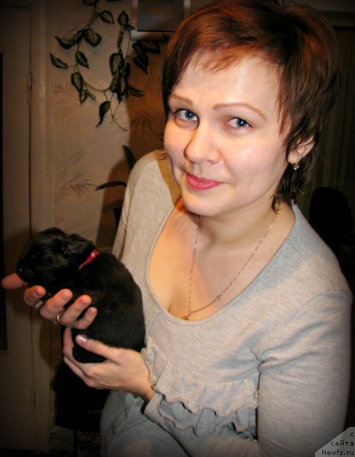 Фото: Anastasiya Marko (Анастасия Марко), щенок от, ньюфаундленд Pchiolkin Dom Veniamin (Пчёлкин Дом Вениамин), и, ньюфаундленд CHudnaya Krasavica (Чудная Красавица)